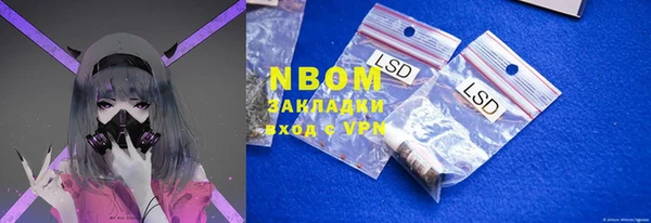амф Алексин