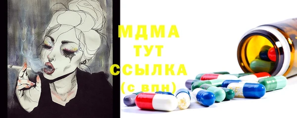 мдпв Пересвет
