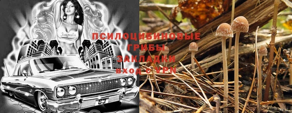 амф Алексин