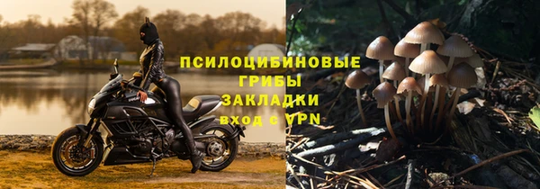 ешки Алзамай